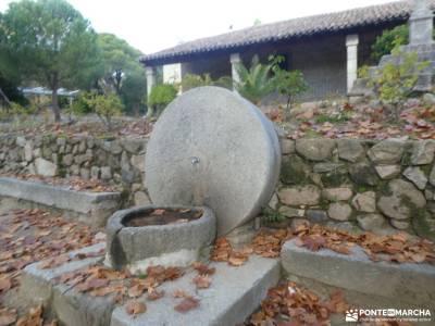 Agua, Vino y .... Vida - Tierra de Pinares; ruta madrid ropa senderismo pinsapar puente de diciembre